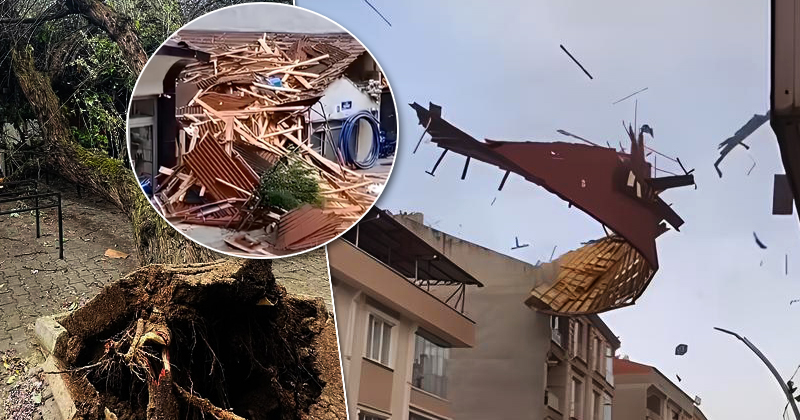 Samsun'da fırtına binanın çatılarını uçurdu, ağaçları yıktı
